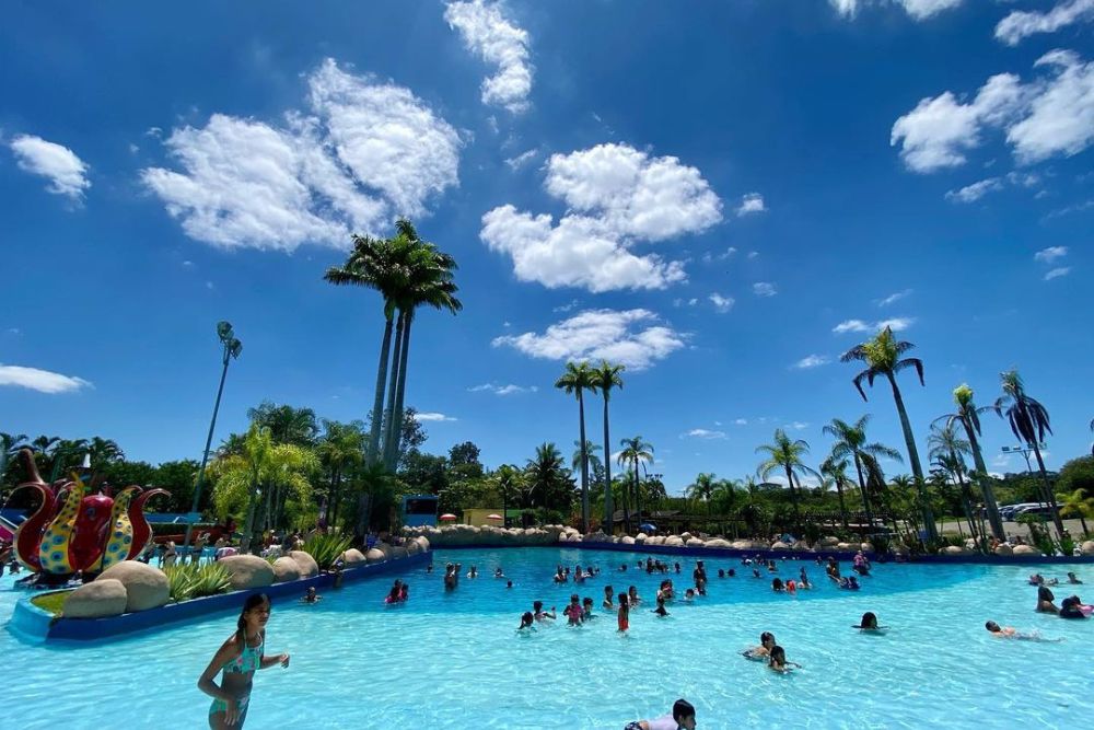 Verão no Aldeia: Passaporte para 8 Pessoas com 1 Ano de Acesso ao Parque